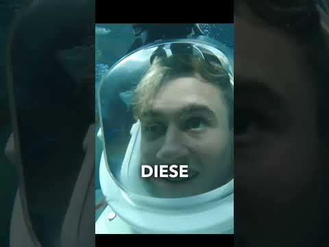 Ich werde von HAI angegriffen? 😳⚠️