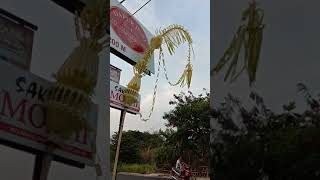 Download lagu Janur Kuning (Penjor) Pernikahan Yogyakarta mp3