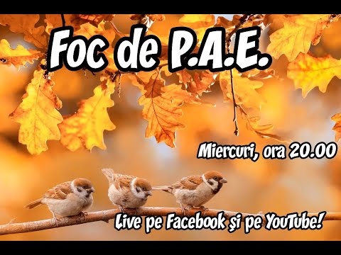 Foc de P.A.E cu Andrei Partoș – editia 895 (24.09.2025)