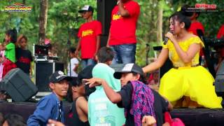 Download lagu New Pallapa 2017 Ayu Arsita - Yang Penting Happy mp3