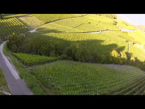Valais Wine Trail - Savoring Switzerland