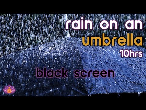[Black Screen] Light Rain on an Umbrella | Rain Ambience No Thunder | Rain Sounds for Sleeping