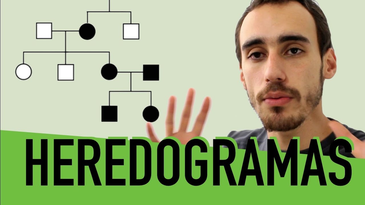 Genética - Análise de Heredogramas