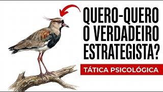 Miniatura do vídeo