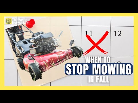 When Should You Stop Mowing Your Lawn in the Fall?