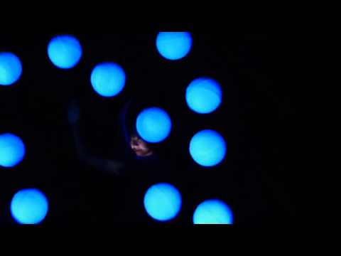 dismappa - Momix Alchemy @ Teatro romano di Verona