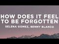 Selena Gomez Benny Blanco How Does It Feel To Be Forgotten Lyrics