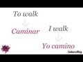 conjugation of regular verbs