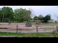 video k-964vY_QLg