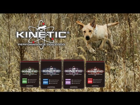 Introduction to Kinetic Dog Food