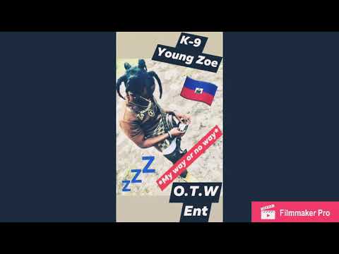 K9 Young Zoe - My Way Or No way