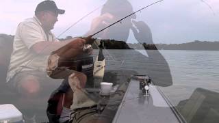 Inquiring minds want to know