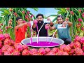 100 KG Dragon Fruit Milk Shake ഡ്രാഗൺ പഴം ഷേക്ക് അടിച്ചപ