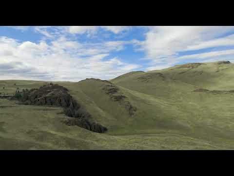 trevor-sheffield video