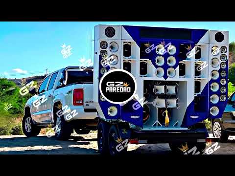 CD FORROZINHO PRA PAREDÃO 2025 NOVO ANAILSON PRODUÇÕES, DJ RAYLLAN E DUDU ALTA QUALIDADE #piseiro