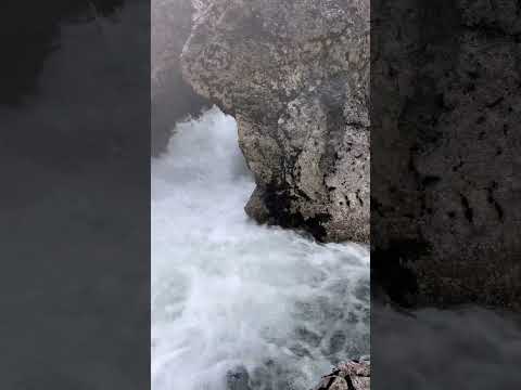 Halid Bešlić Miljacka -Video: Kazani Trnovo Bosnien Herzegowina#music #song#hit