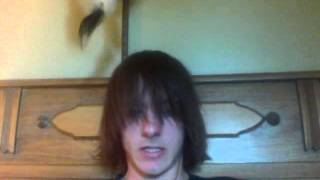 My Madcap Cancer Fundraiser Scheme