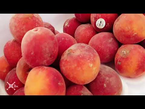 Barraca de frutas da feira de domingo da cidade de Juquitiba @doidrone