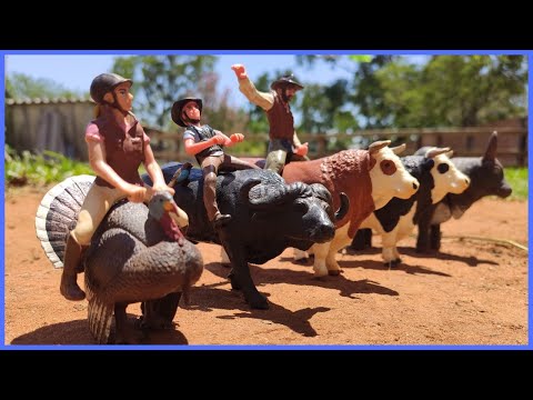 MELHOR RODEIO DE TOURO BRAVO PARTE 2 #chapeudogato