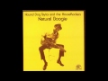 Hound Dog Taylor - Talk To My Baby