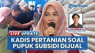 Petani Ngamuk Perkara Pupuk Subsidi Dijual ke Kebun Kelapa Sawit, Kadis Pertanian Kotim: Salah Paham