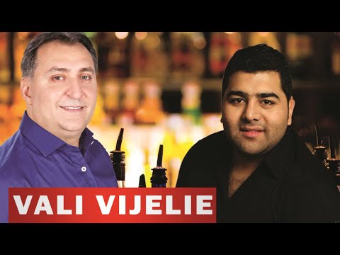 VALI VIJELIE si LIVIU PUSTIU - Sunt petrecaret ca tata (Colaj muzica petrecere 2015)