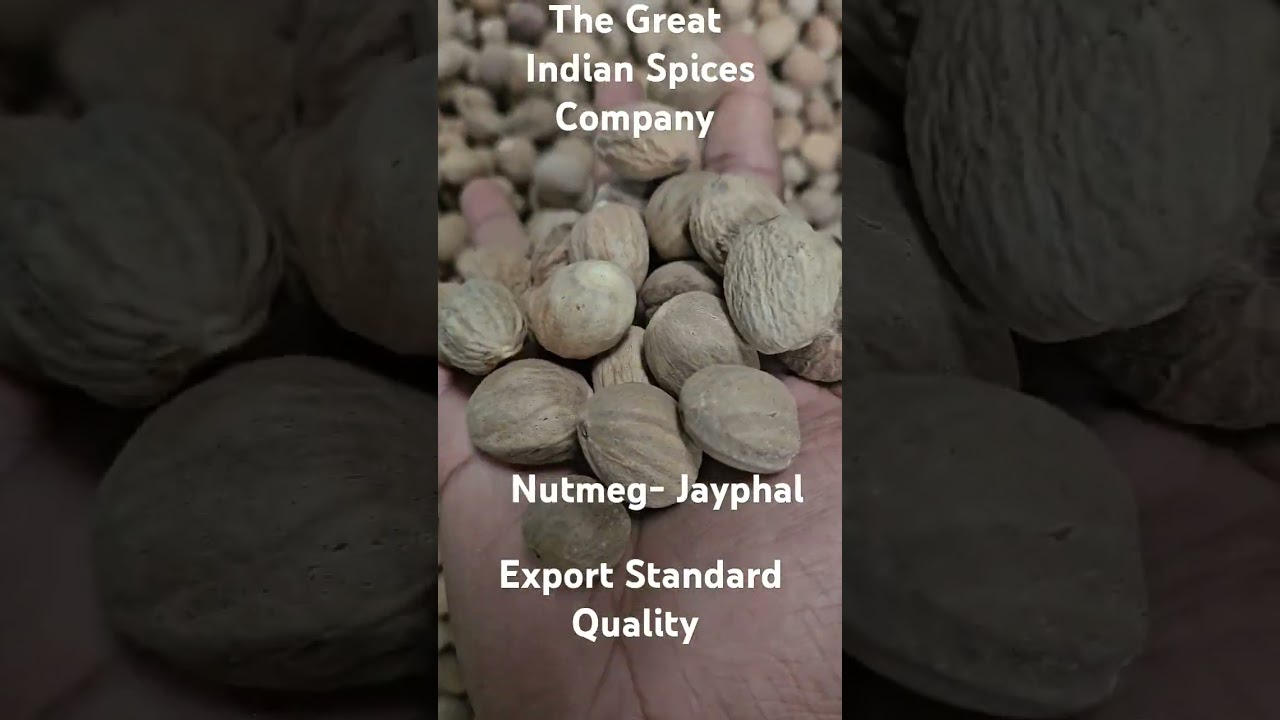 NUTMEG WITHOUT SHELL Export Quality ABC 200/220/240 count  #spices #indianspices #spicesboard #keala