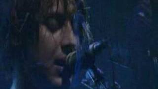 The Vines(live) - 06 autumn shade 2