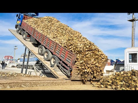 ERSTAUNLICHE WEGE ZUM ENTLADEN VON LKWS