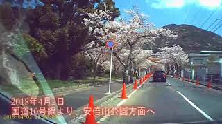 ドライブレコーダーによる、2018年の桜二箇所