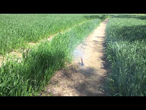 Mini SHELLs 1.5inch + Salute in Sommerstimmung *WATCH* HD