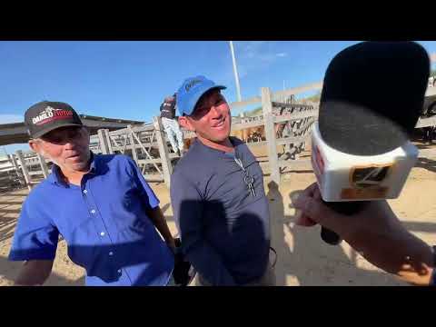 Gado de de Qualidade ! na Feira em Dois Riachos - AL 25 - 03 - 2026 #nordeste