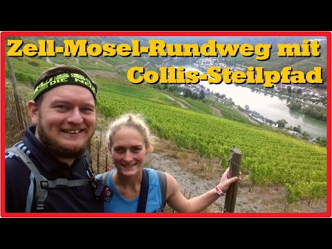Zell-Mosel-Rundweg mit Collis-Steilpfad