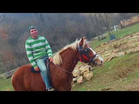 Valea Cailor.Galopul cailor pe Valea Cladovei.