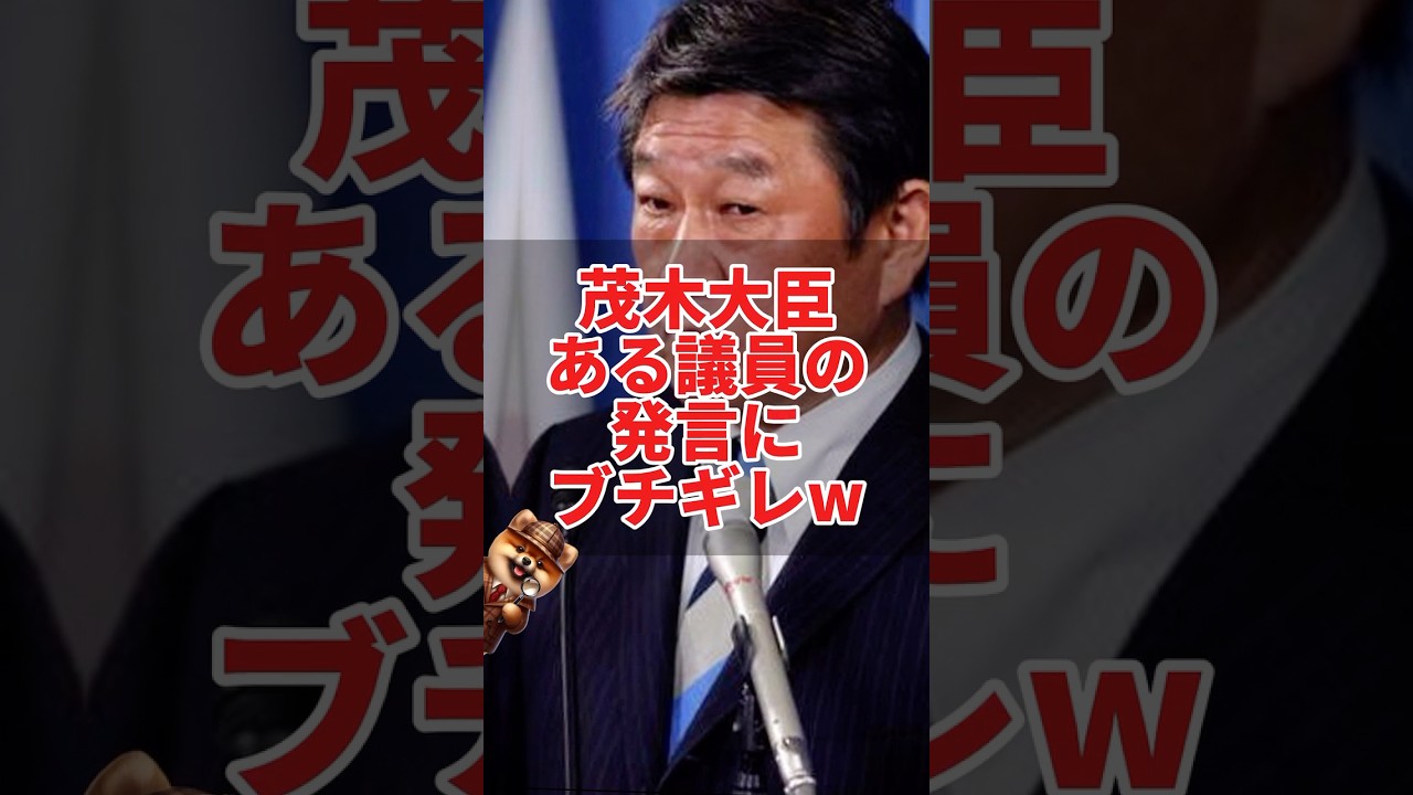 茂木大臣、ある議員の発言にブチギレw