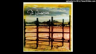 Gin Blossoms - Don&#39;t Change For Me [HQ Áudio 320kbps]