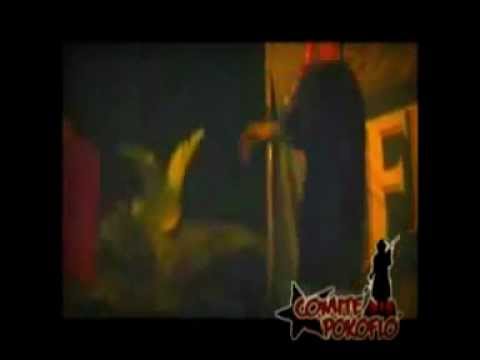 Comite Pokoflo   Habeas Corpus