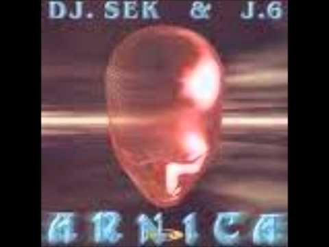 Dj Sek & J.6 - Arnica