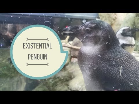 Existential Penguin