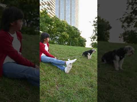 kid-sitting-on-a-grass-