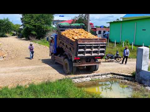 O.M.G ! Excited Start Mega Delete Full Landfill Half Lake ​Erase Process with bulldozer & Trucks