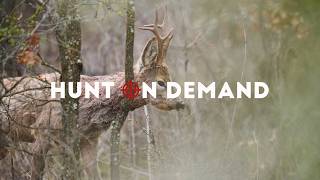 Sehe über 1.000 Jagdfilme auf Hunt on Demand!
