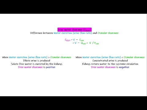 Free water clearance. Chapter 29 part 9. Guyton and Hall Physiology.