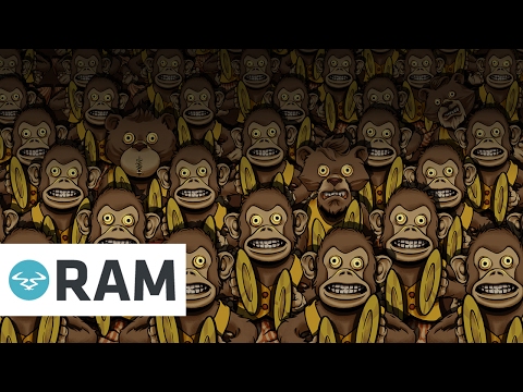 Video thumbnail for Monkey Kingdom