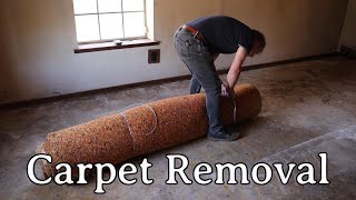 Carpet Removal
