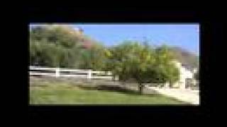 Sunday Morning with Shelley Berman