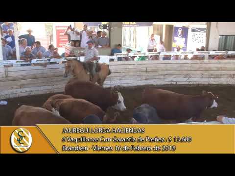 16-02-18 Venta de Vientres - Jauregui Lorda Haciendas - Brandsen