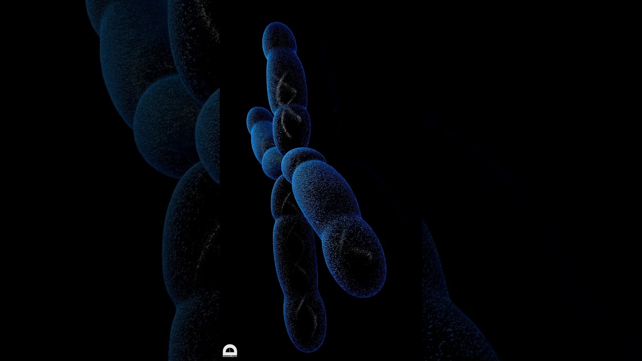 Gene or Allele? | #genetics #biology #dna