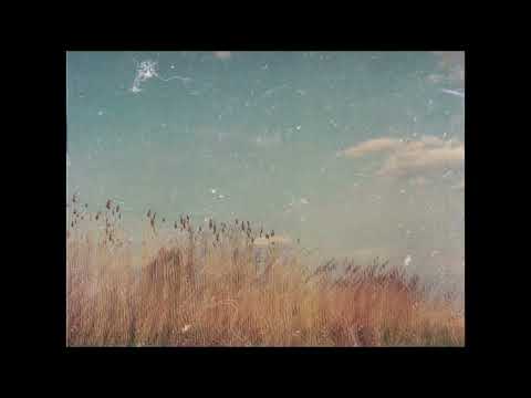 [FREE] Acoustic Guitar x Post Malone No Drums Type Beat \\ Time Stops