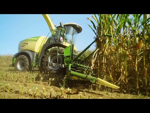 EasyCollect und XCollect – Maisvorsätze von KRONE